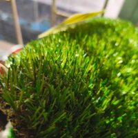 Pasto sintetico 20MM Bicolor